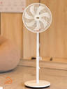 IMG_2656.webp
